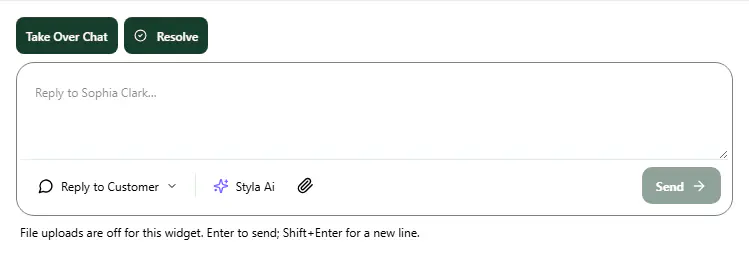Human takeover in the Stylchat team inbox.
