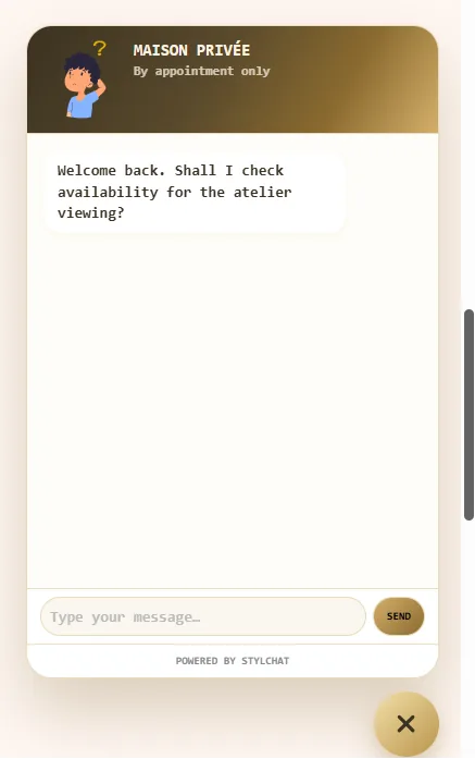 Without the Home tab, the widget opens straight into the conversation.