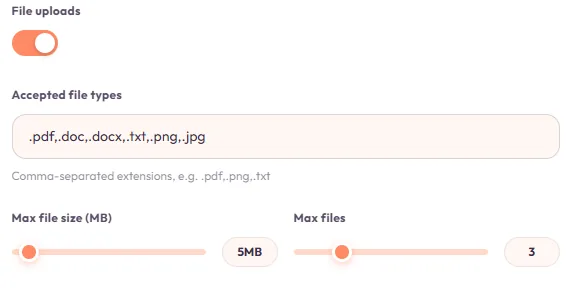 File uploads: accepted types, max size, and max file count.