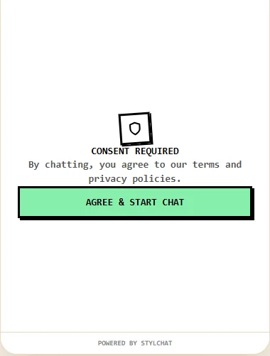 A consent screen shown before the chat begins.